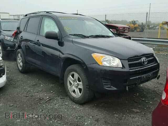 Фотография 2T3JF4DV8BW116495 - TOYOTA RAV4 2011