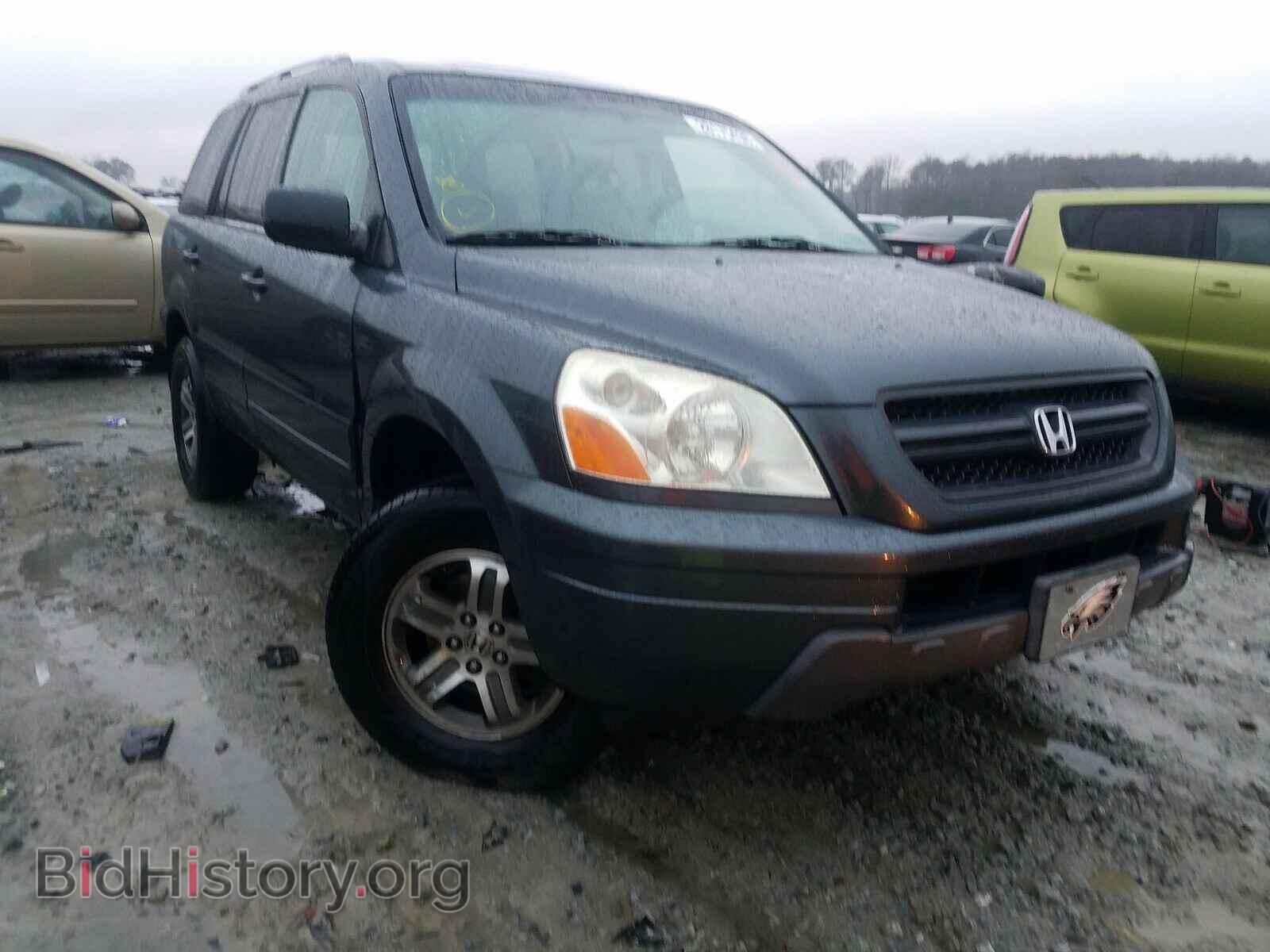 Фотография 5FNYF18595B031649 - HONDA PILOT 2005