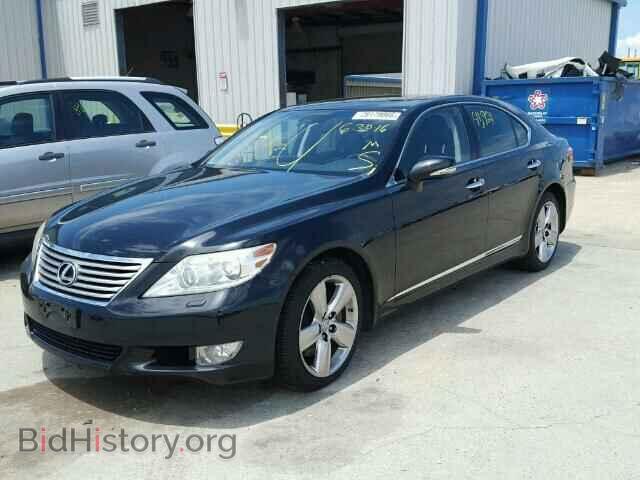 2010 LEXUS LS460 - VIN: JTHCL5EF8A5008333 - Фото 2
