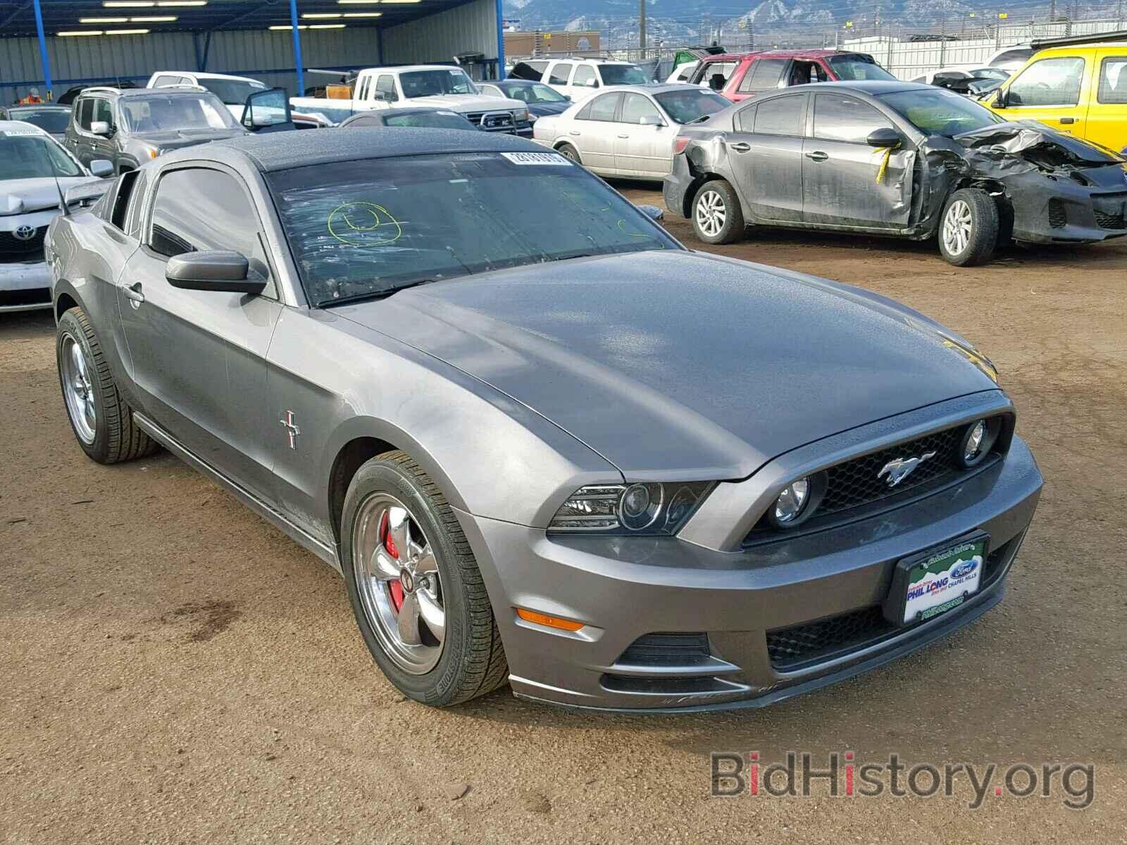 Photo 1ZVBP8AM9D5241419 - FORD MUSTANG 2013