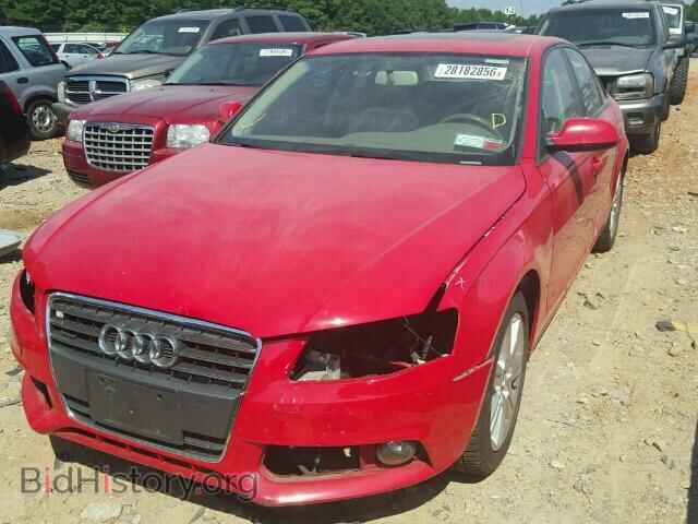 2010 AUDI A4 - VIN: WAUBFAFL4AN059228 - Фото 2