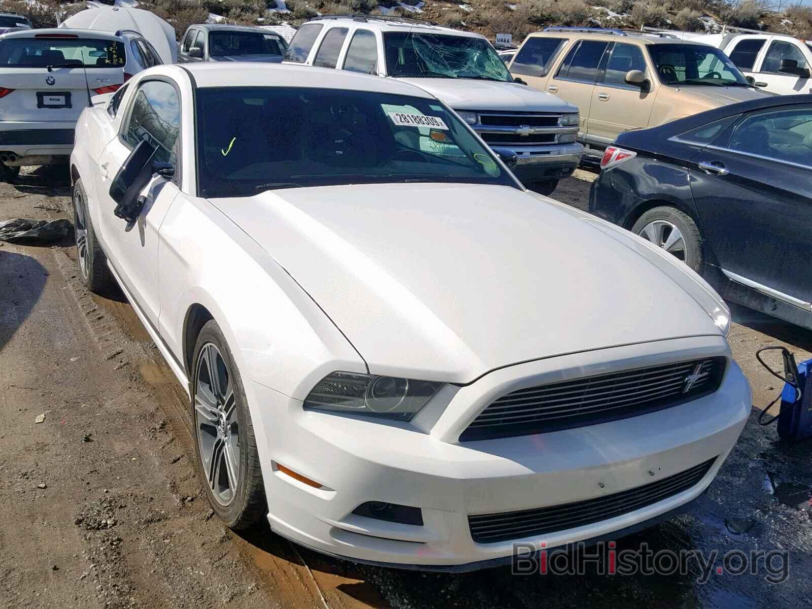 Photo 1ZVBP8AM5D5202617 - FORD MUSTANG 2013