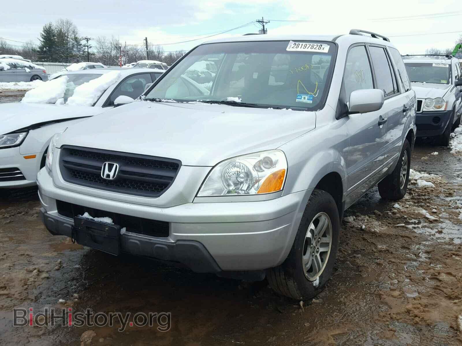 2005 HONDA PILOT - VIN: 5FNYF18455B060878 - Фото 2