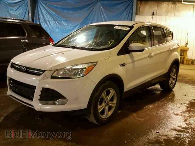 2013 FORD ESCAPE - VIN: 1FMCU0GX7DUA60775 - Фото 2