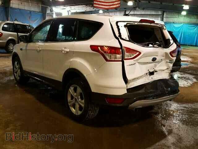 2013 FORD ESCAPE - VIN: 1FMCU0GX7DUA60775 - Фото 3