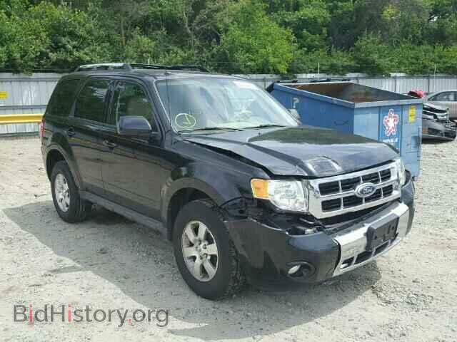 Photo 1FMCU0E78BKB48150 - FORD ESCAPE 2011