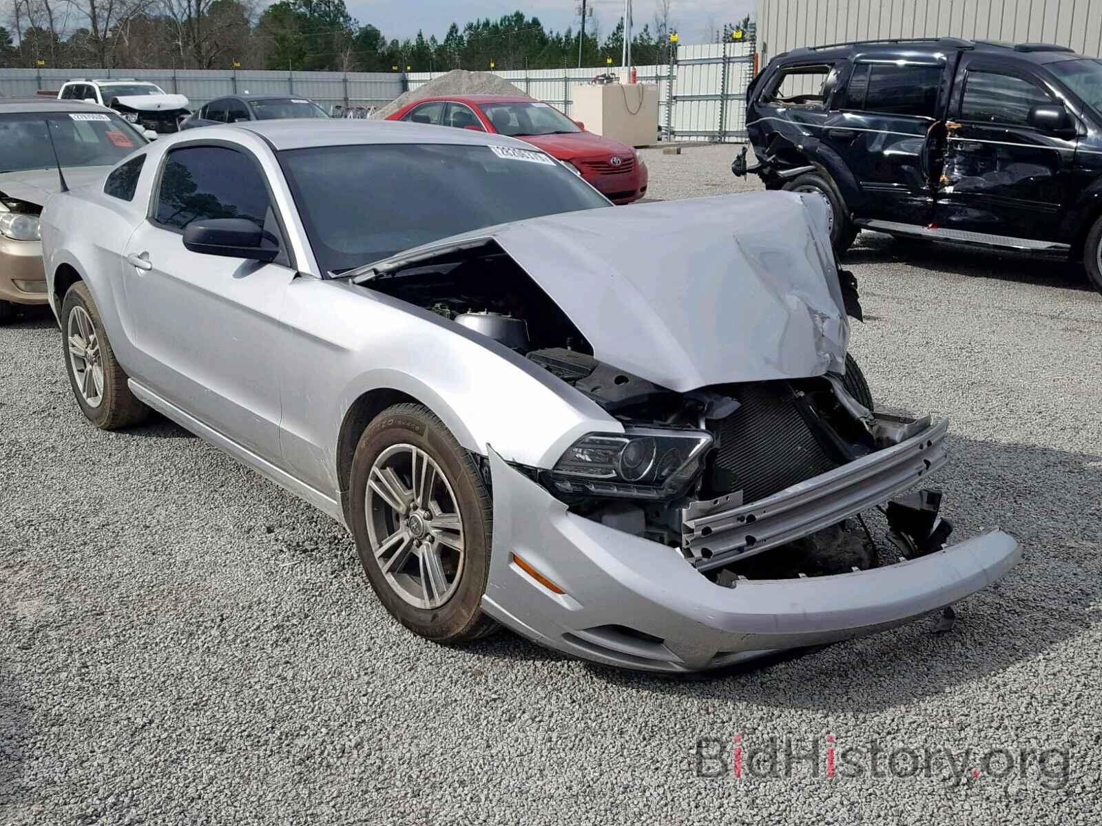 Photo 1ZVBP8AM0D5212990 - FORD MUSTANG 2013