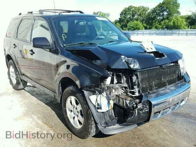Photo 1FMCU0E76BKC24996 - FORD ESCAPE 2011