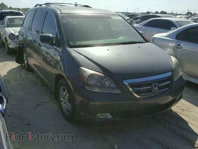 Фотография 5FNRL38745B036560 - HONDA ODYSSEY 2005
