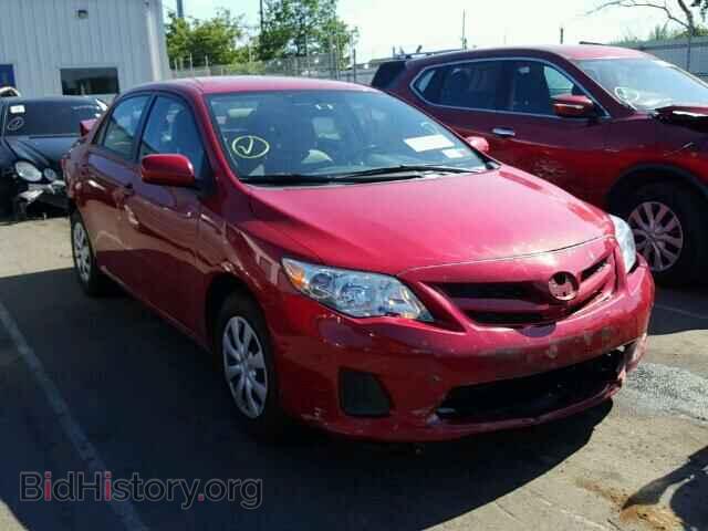 Фотография 2T1BU4EEXBC556446 - TOYOTA COROLLA 2011