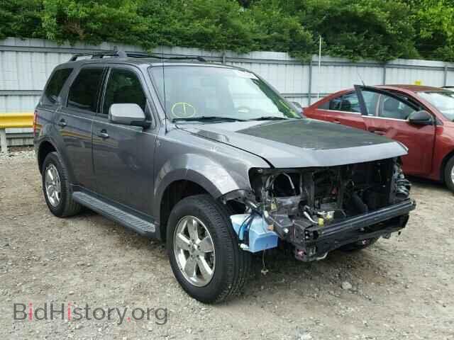 Photo 1FMCU9EG8BKB09109 - FORD ESCAPE 2011