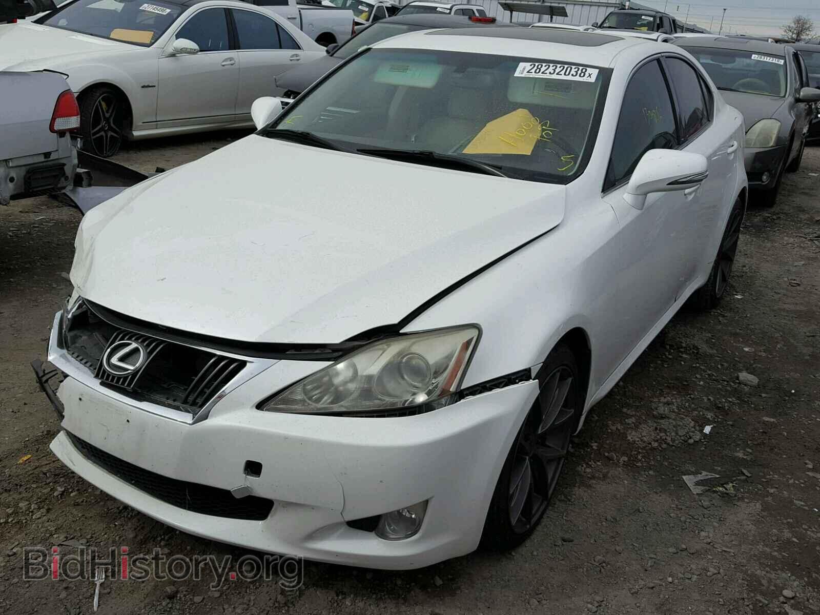 2009 LEXUS IS250 - VIN: JTHBK262692086423 - Фото 2