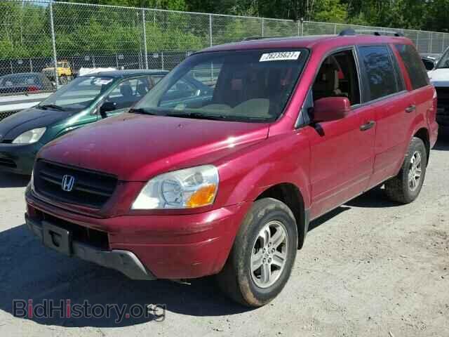 2005 HONDA PILOT - VIN: 5FNYF18655B041183 - Фото 2