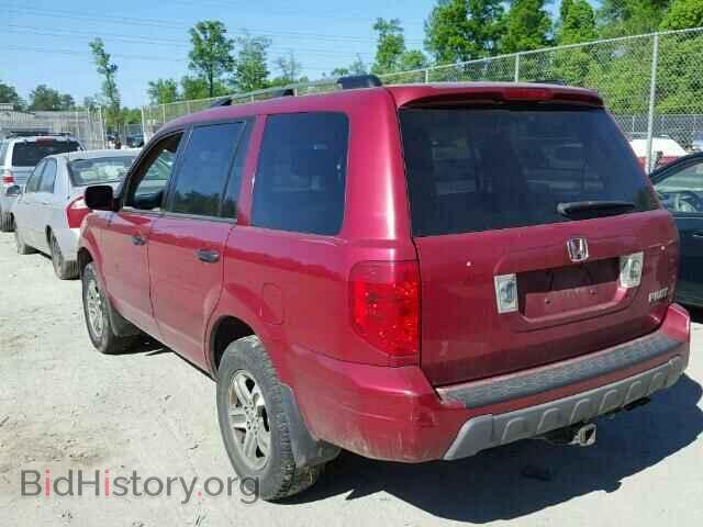 2005 HONDA PILOT - VIN: 5FNYF18655B041183 - Фото 3