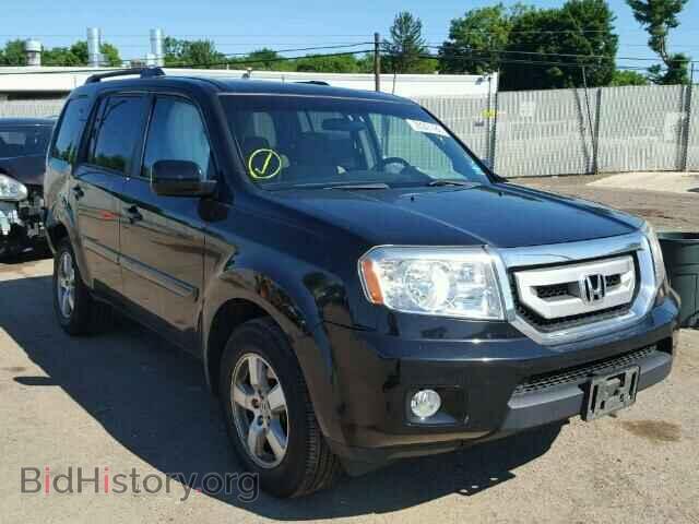 Фотография 5FNYF4H42BB013885 - HONDA PILOT 2011