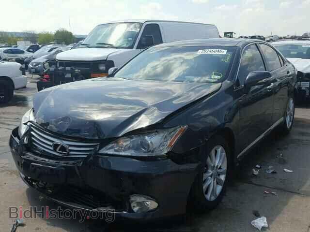 2010 LEXUS ES350 - VIN: JTHBK1EG8A2385262 - Фото 2
