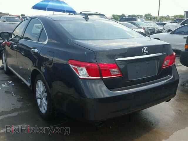2010 LEXUS ES350 - VIN: JTHBK1EG8A2385262 - Фото 3