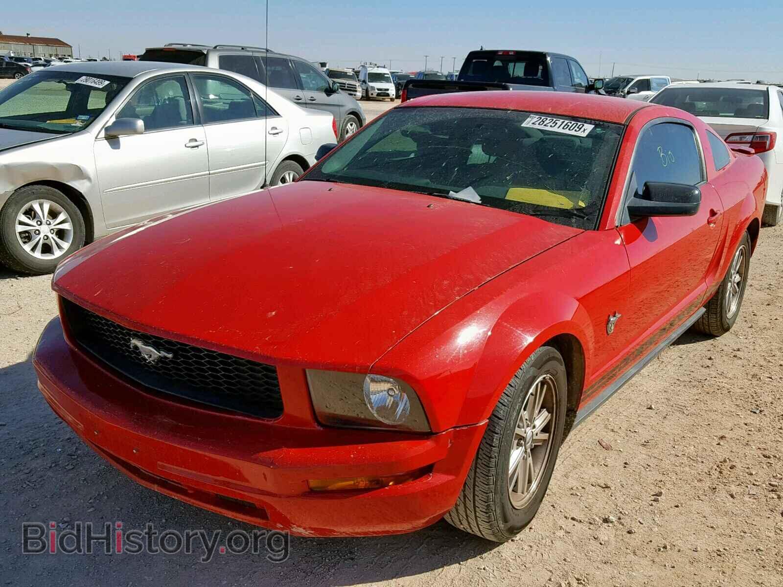 2009 FORD MUSTANG - VIN: 1ZVHT80N495112110 - Фото 2