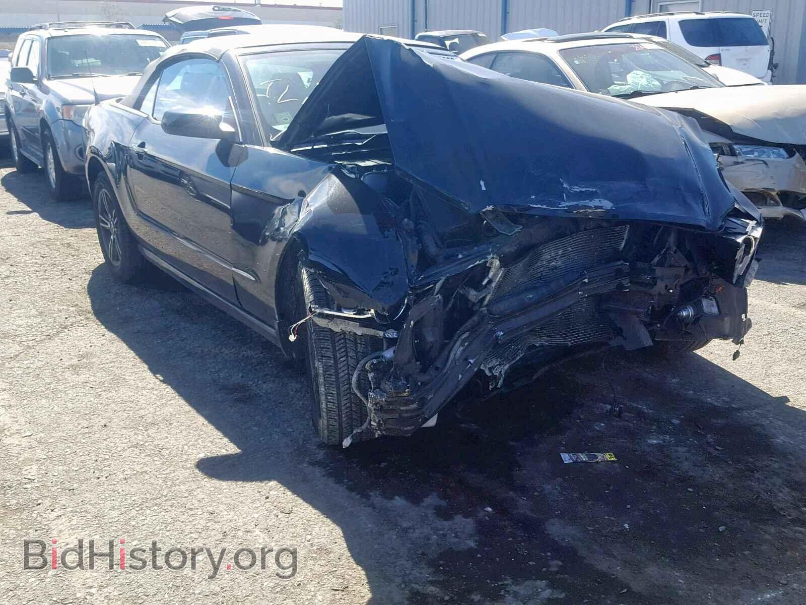 Photo 1ZVBP8EM8D5237243 - FORD MUSTANG 2013