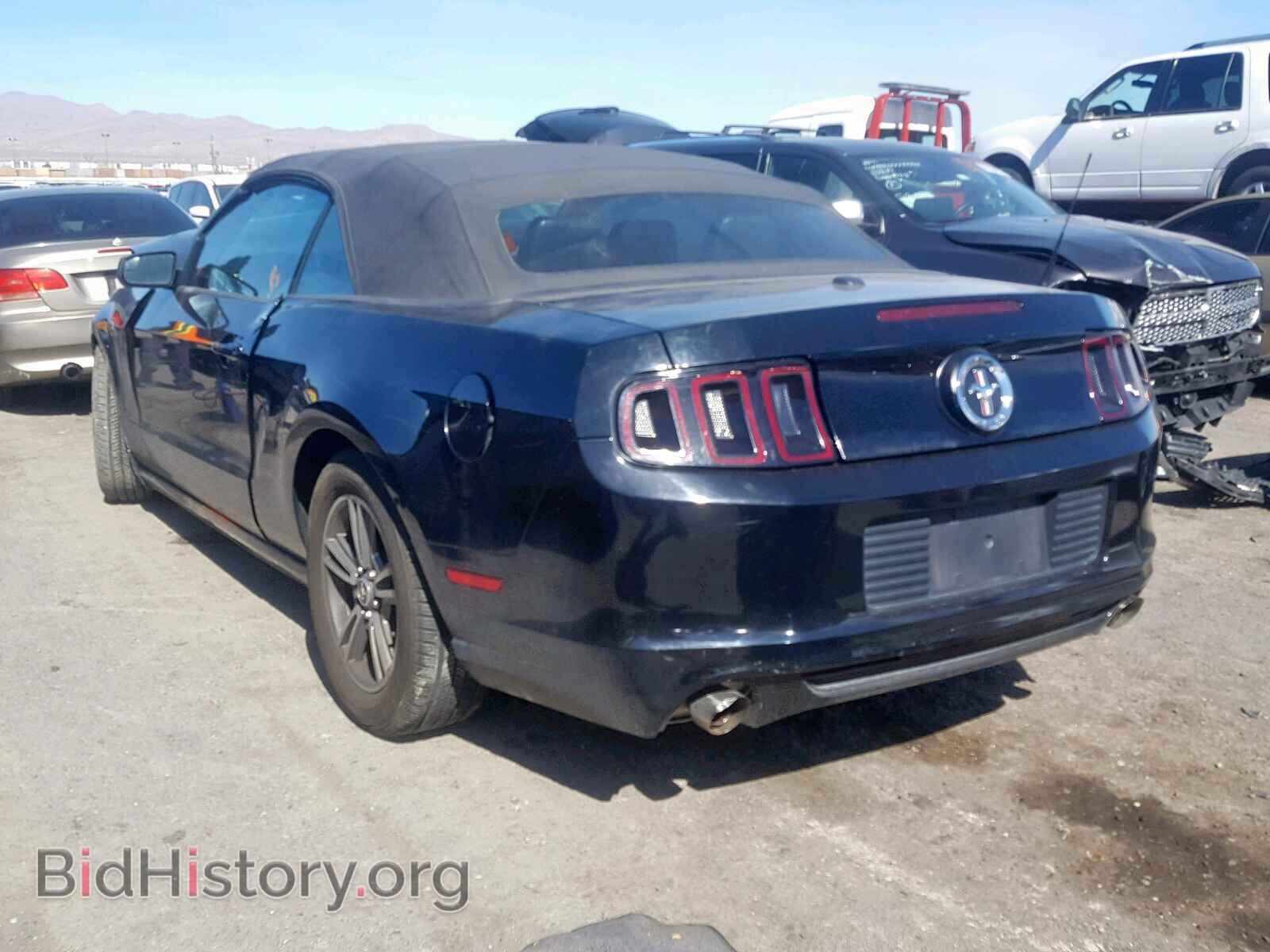 2013 FORD MUSTANG - VIN: 1ZVBP8EM8D5237243 - Фото 3