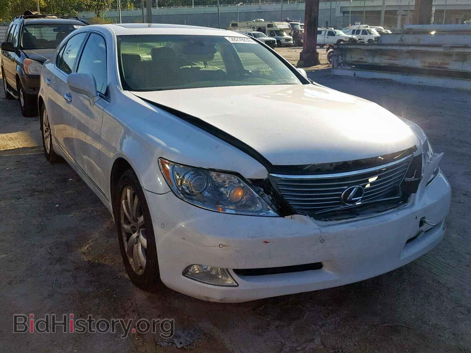 Фотография JTHBL46FX85061047 - LEXUS LS460 2008