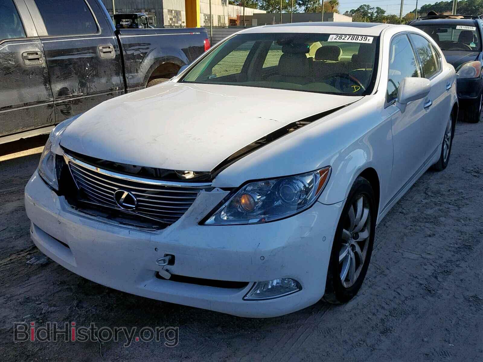 2008 LEXUS LS460 - VIN: JTHBL46FX85061047 - Фото 2