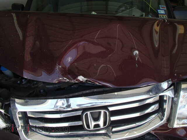 2012 HONDA PILOT - VIN: 5FNYF3H2XCB008721 - Фото 7