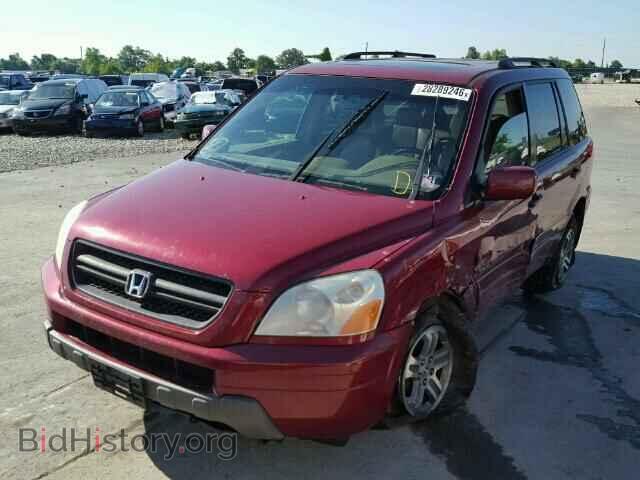 2005 HONDA PILOT - VIN: 5FNYF18575B058459 - Фото 2