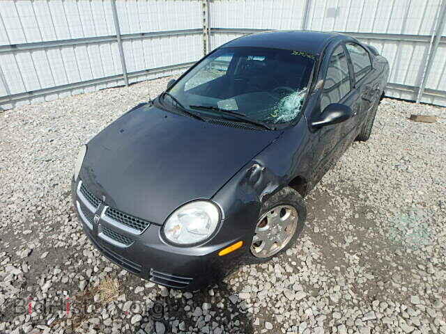 2004 DODGE NEON - VIN: 1B3ES56C74D544557 - Фото 2