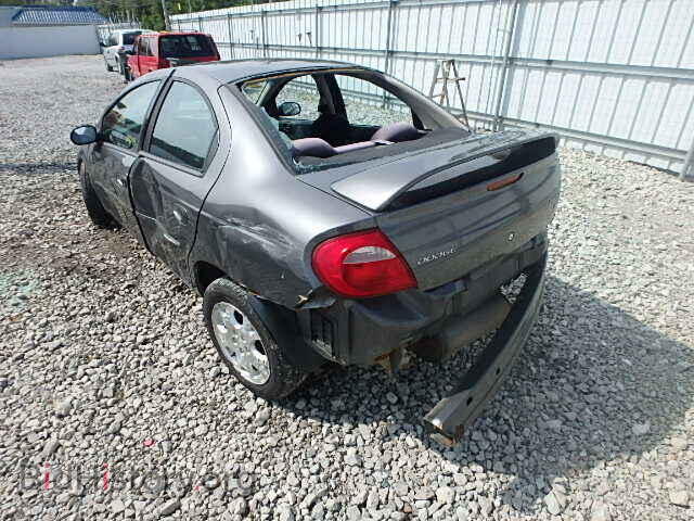 2004 DODGE NEON - VIN: 1B3ES56C74D544557 - Фото 3