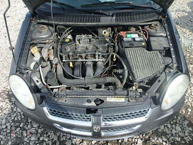 2004 DODGE NEON - VIN: 1B3ES56C74D544557 - Фото 7