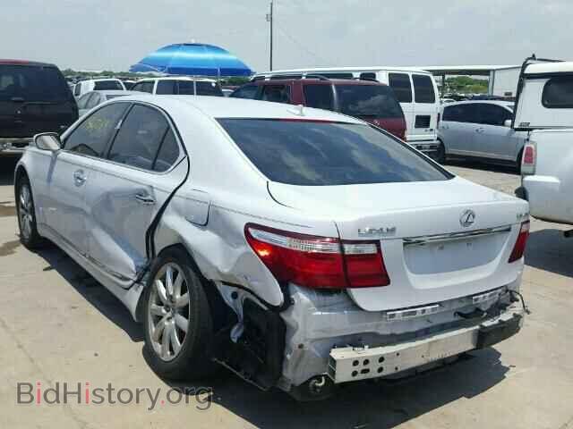 2008 LEXUS LS460 - VIN: JTHBL46F385068342 - Фото 3