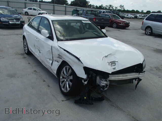 Фотография WAUBFAFL8AN030881 - AUDI A4 2010