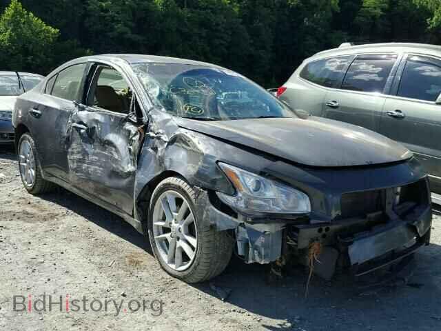 Photo 1N4AA51E79C800319 - NISSAN MAXIMA 2009