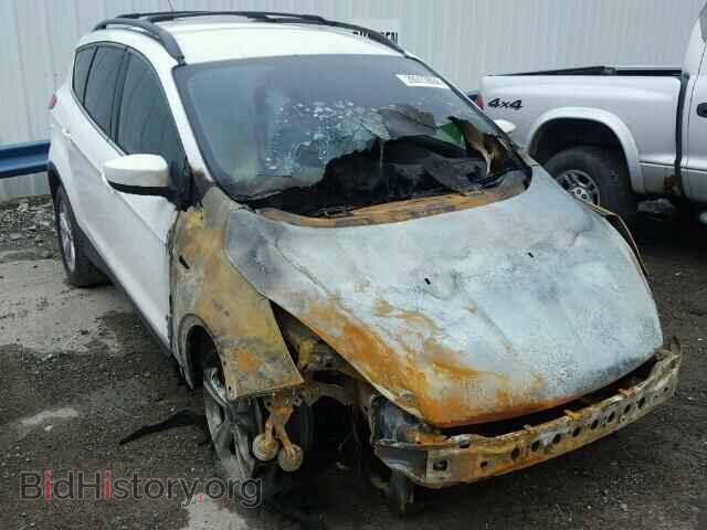 Фотография 1FMCU9GX1DUA92013 - FORD ESCAPE 2013