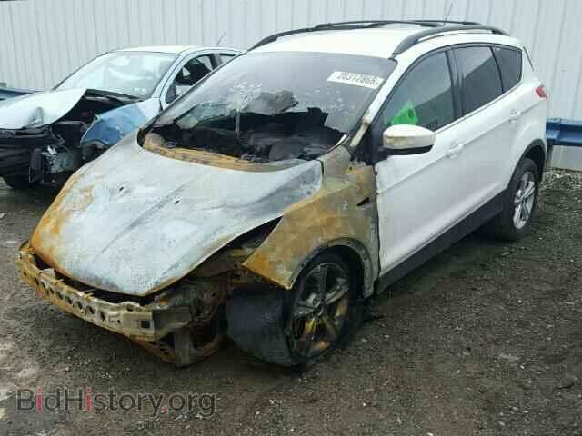 2013 FORD ESCAPE - VIN: 1FMCU9GX1DUA92013 - Фото 2
