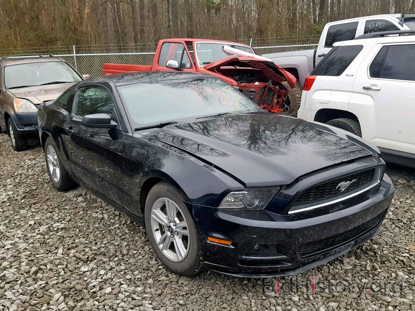 Photo 1ZVBP8AM3E5314057 - FORD MUSTANG 2014