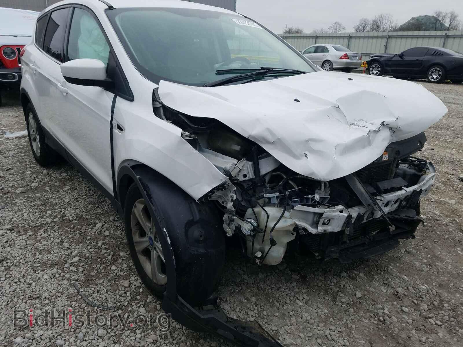 Photo 1FMCU0GX2DUD03635 - FORD ESCAPE 2013