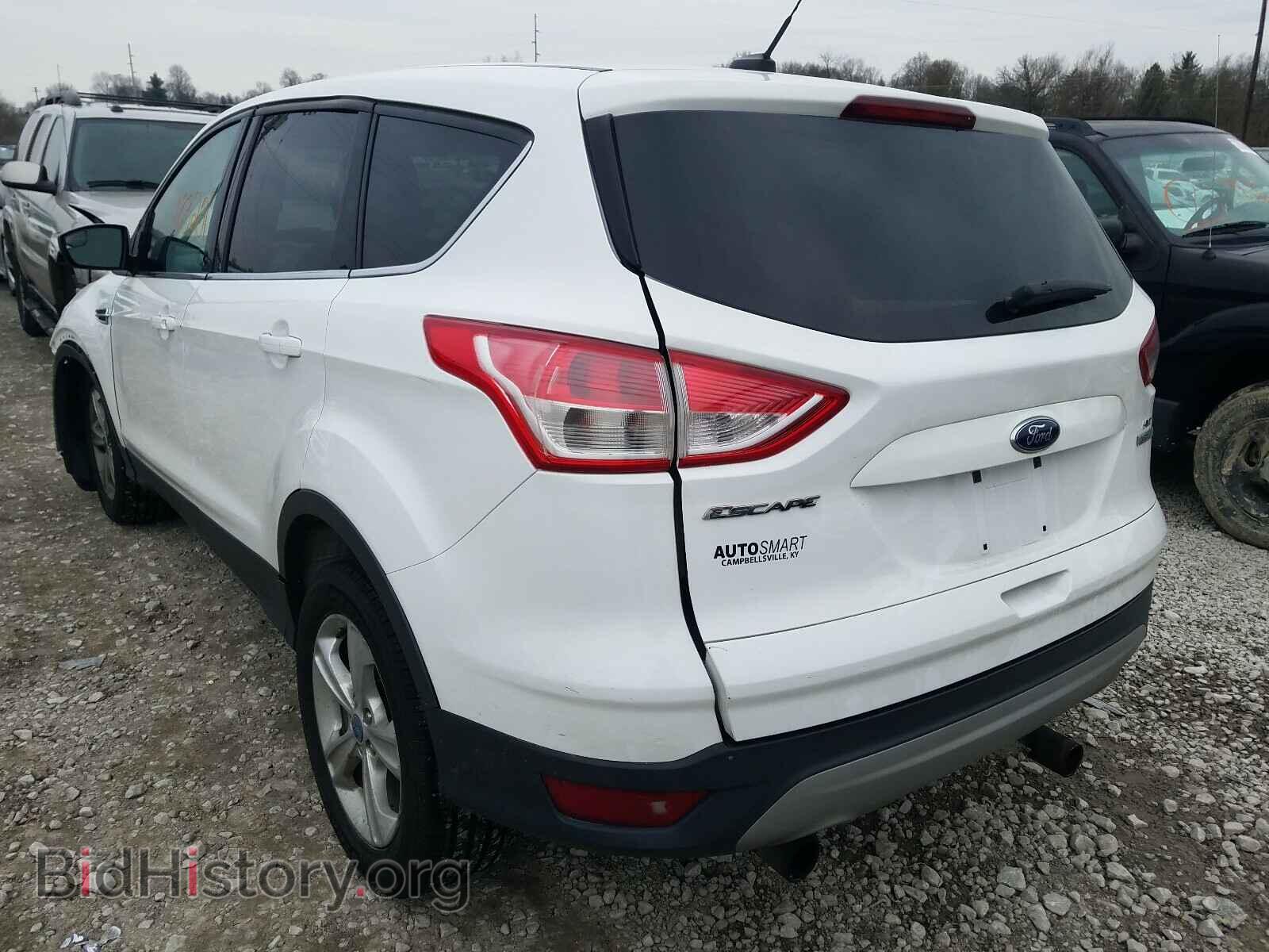 2013 FORD ESCAPE - VIN: 1FMCU0GX2DUD03635 - Фото 3