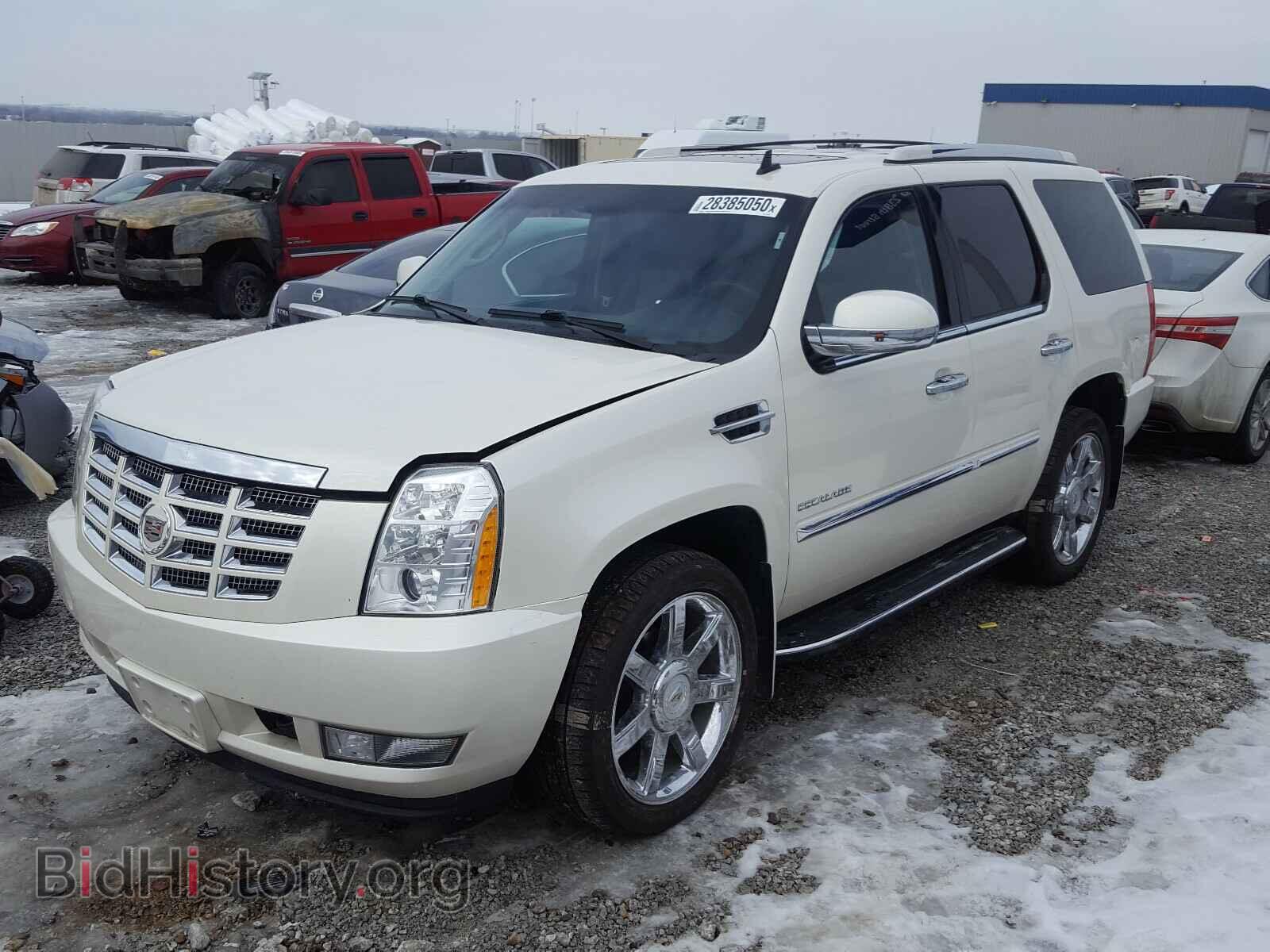 2011 CADILLAC ESCALADE - VIN: 1GYS4BEF4BR288524 - Фото 2