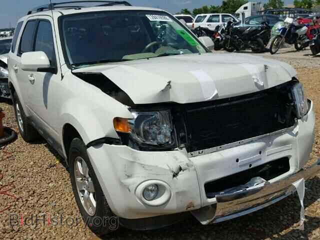 2011 FORD ESCAPE - VIN: 1FMCU0EG9BKA82403 - Photo 10
