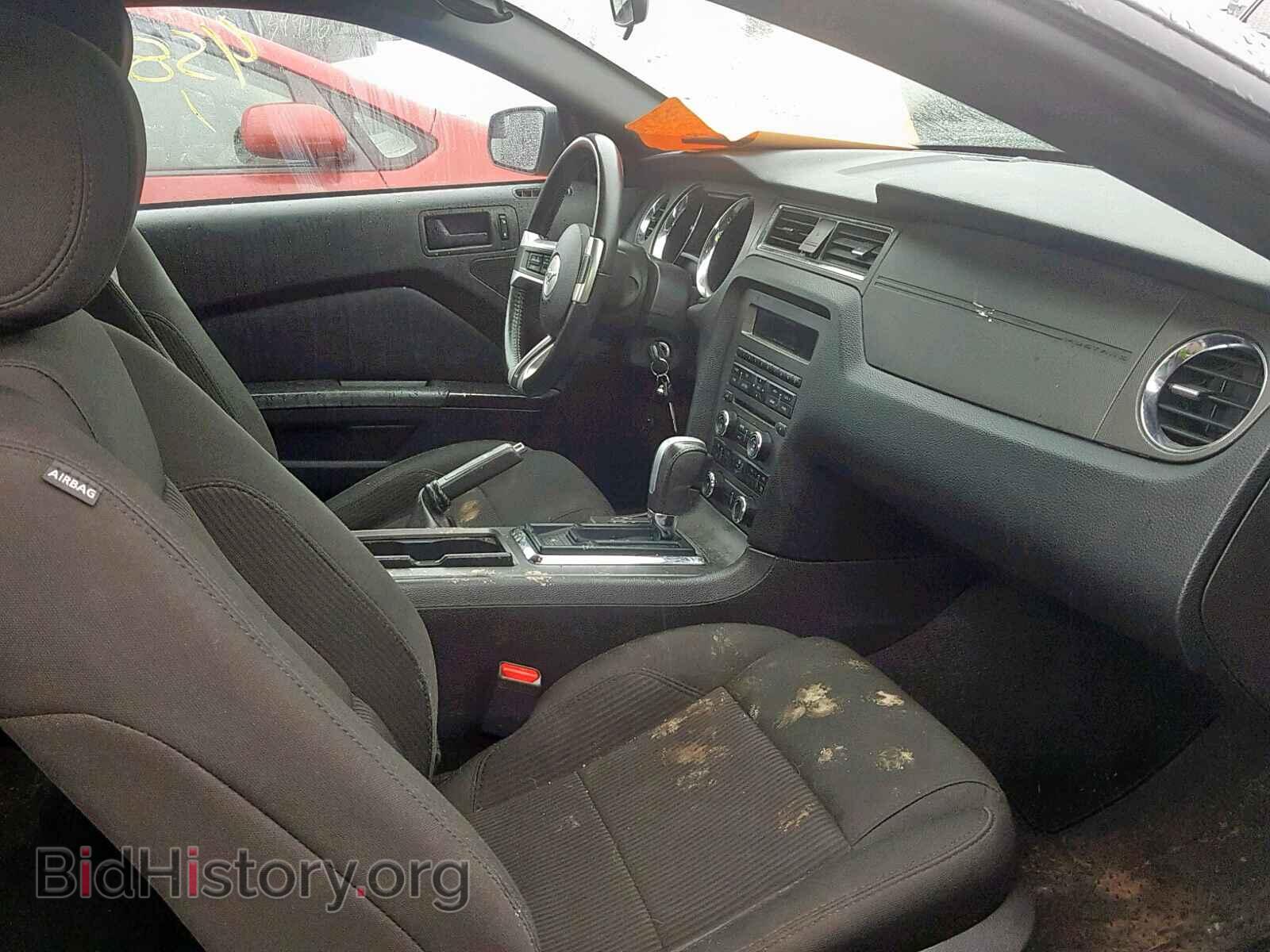 2014 FORD MUSTANG - VIN: 1ZVBP8AM4E5299925 - Фото 5