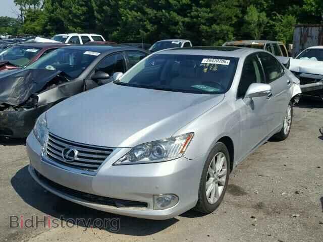 2010 LEXUS ES350 - VIN: JTHBK1EG7A2362006 - Фото 2