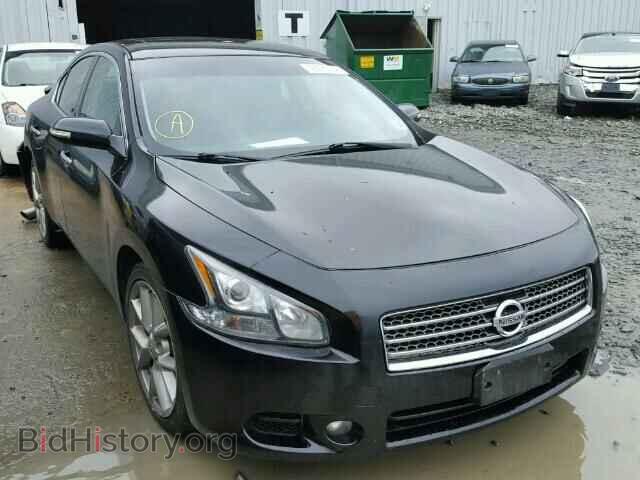 Фотография 1N4AA5AP7BC864237 - NISSAN MAXIMA 2011