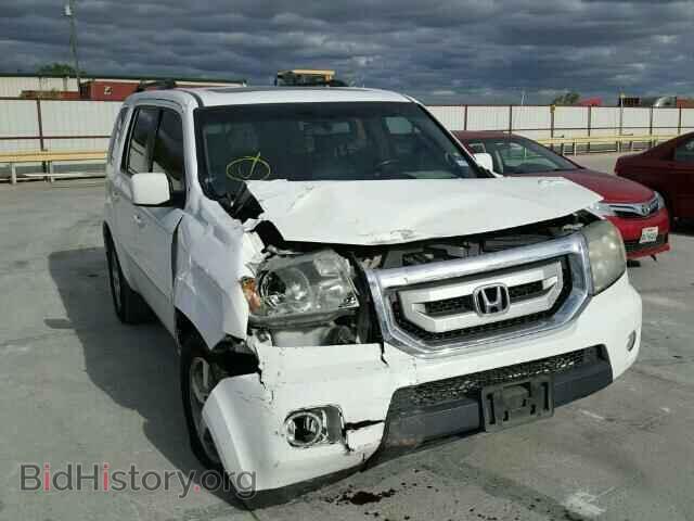 Photo 5FNYF38659B018407 - HONDA PILOT 2009