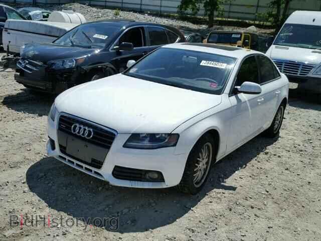 2010 AUDI A4 - VIN: WAUBFAFL3AN033235 - Фото 2