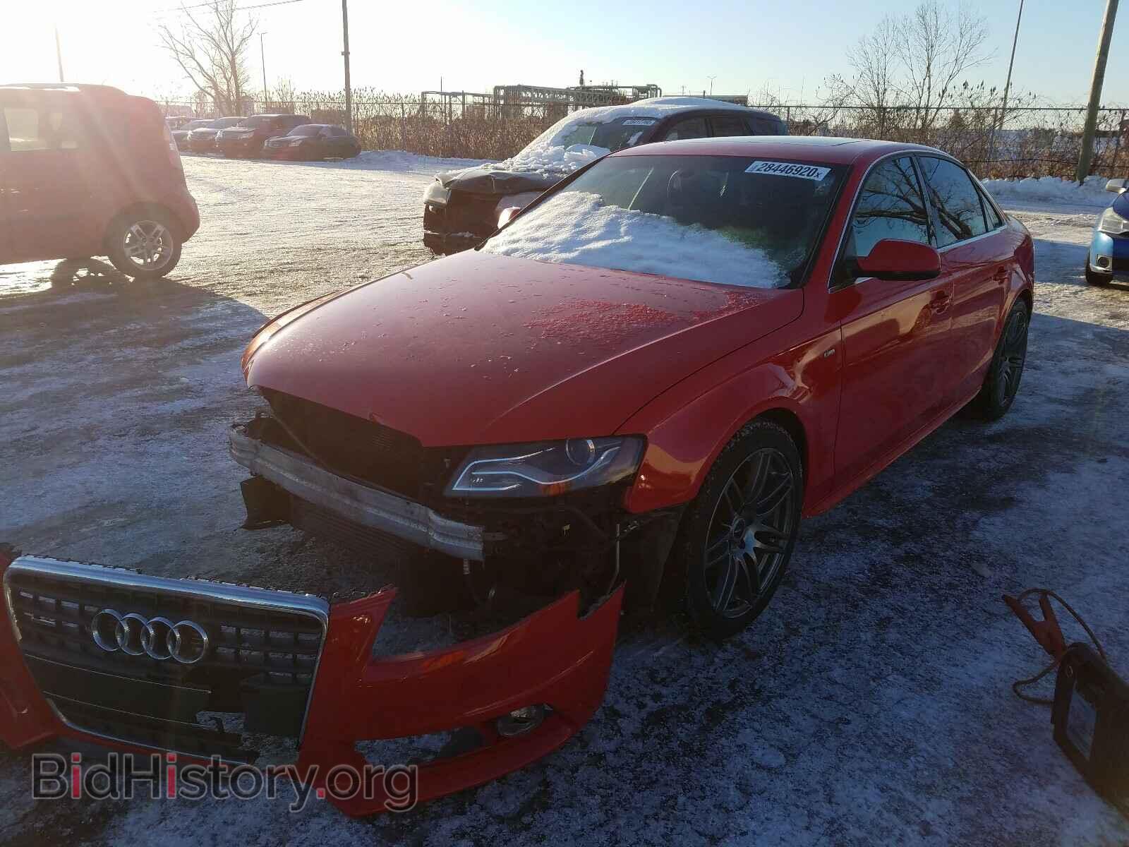 2012 AUDI A4 - VIN: WAUFFCFL1CN011654 - Фото 2