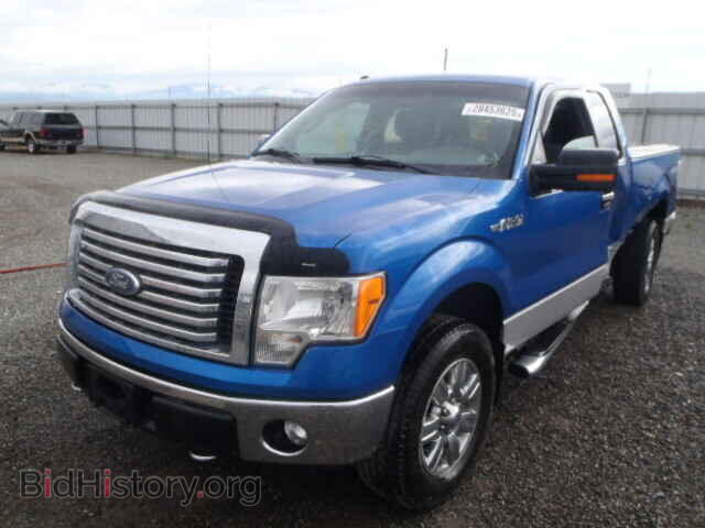 2011 FORD F150 - VIN: 1FTFX1EF8BKD68216 - Фото 2