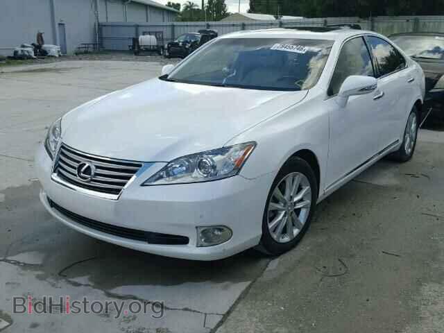 2010 LEXUS ES350 - VIN: JTHBK1EG5A2396249 - Фото 2