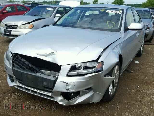 2011 AUDI A4 - VIN: WAUAFAFLXBN041054 - Фото 2